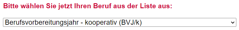 Beispielbild Dropdown Berufswahl